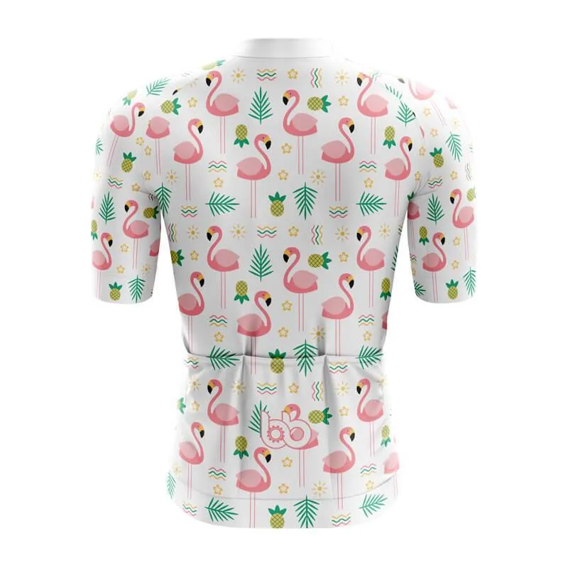 Flamingo New Aero Jerseys (V4)