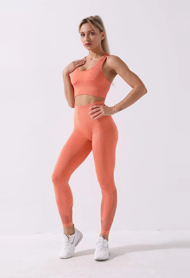 High-Waist Mesh Seamless Legging - Zephyr