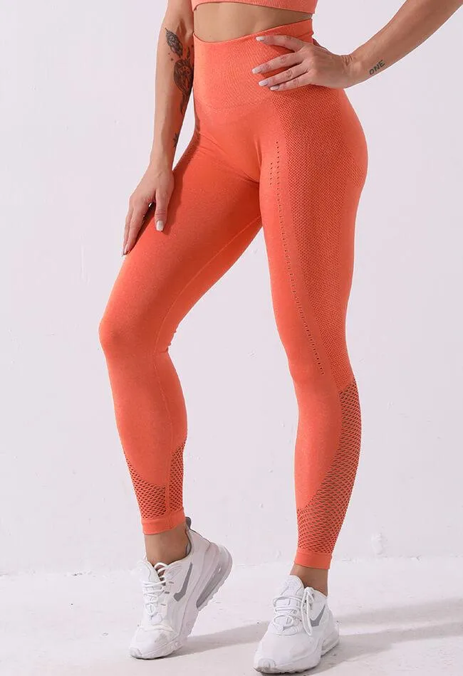 High-Waist Mesh Seamless Legging - Zephyr