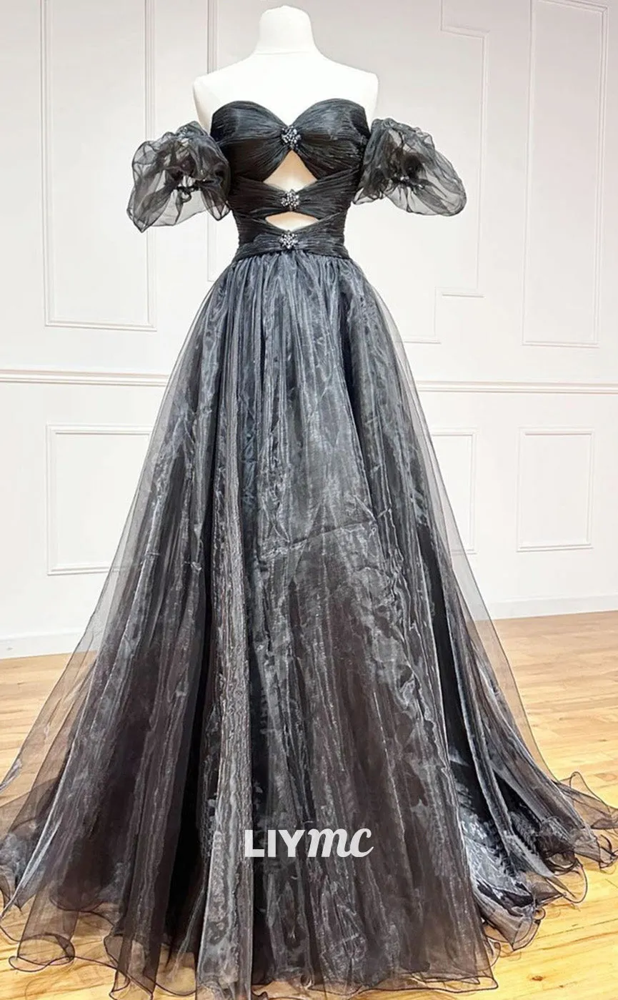 LP1883 - Black A-Line Organza Long Prom Dress, Black Formal Evening Dress