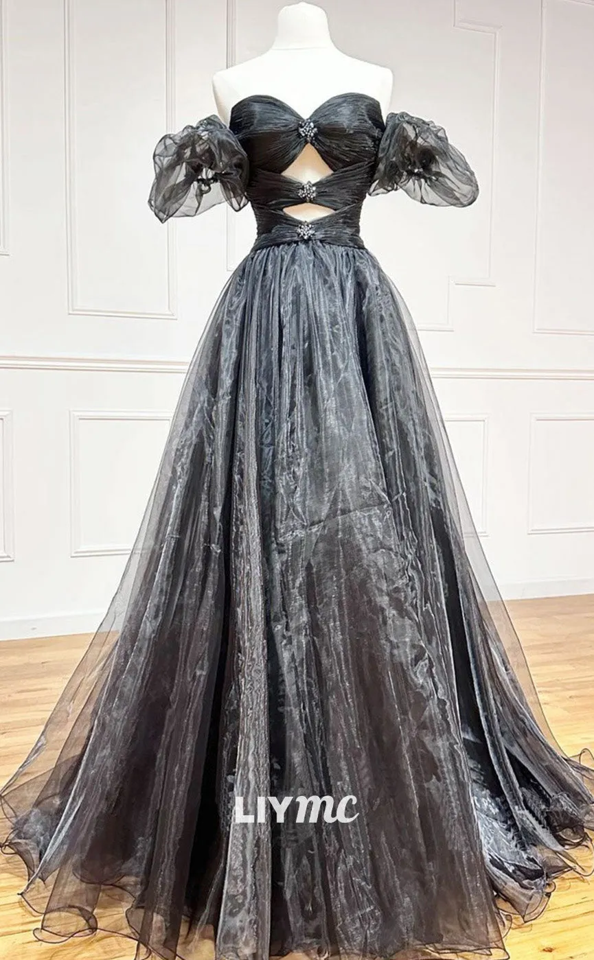 LP1883 - Black A-Line Organza Long Prom Dress, Black Formal Evening Dress