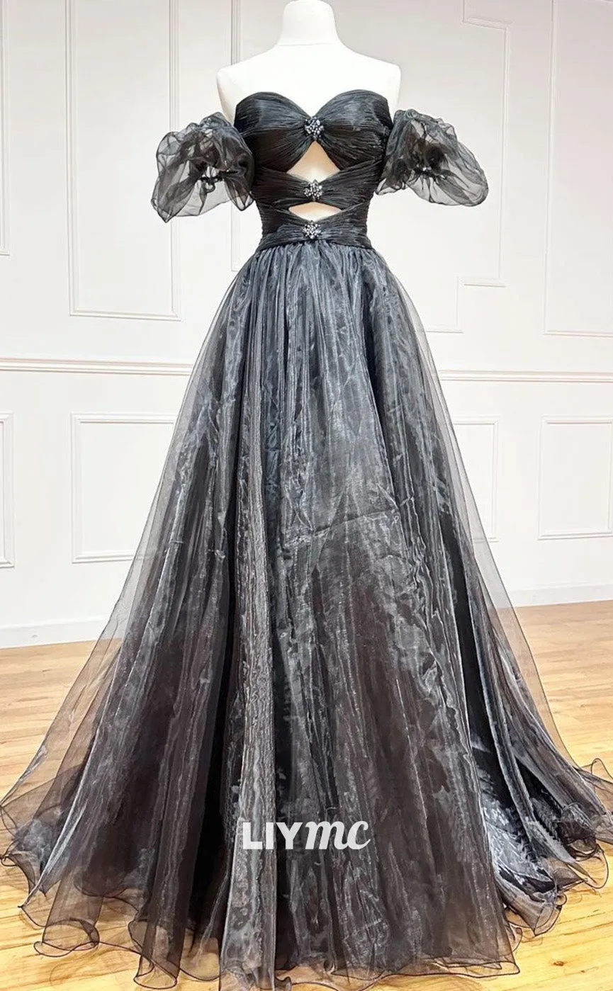 LP1883 - Black A-Line Organza Long Prom Dress, Black Formal Evening Dress