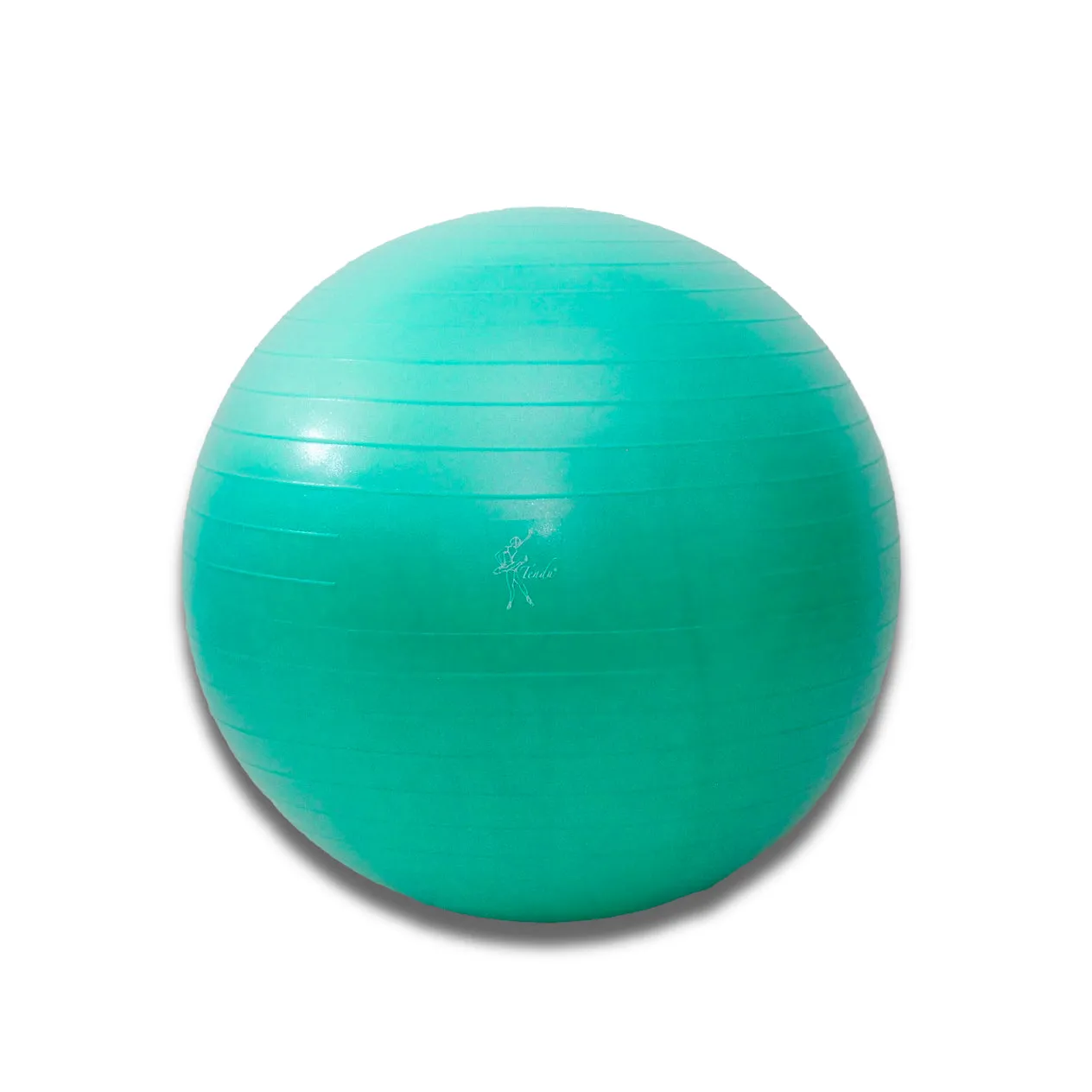 Tendu Stability Ball- T1058