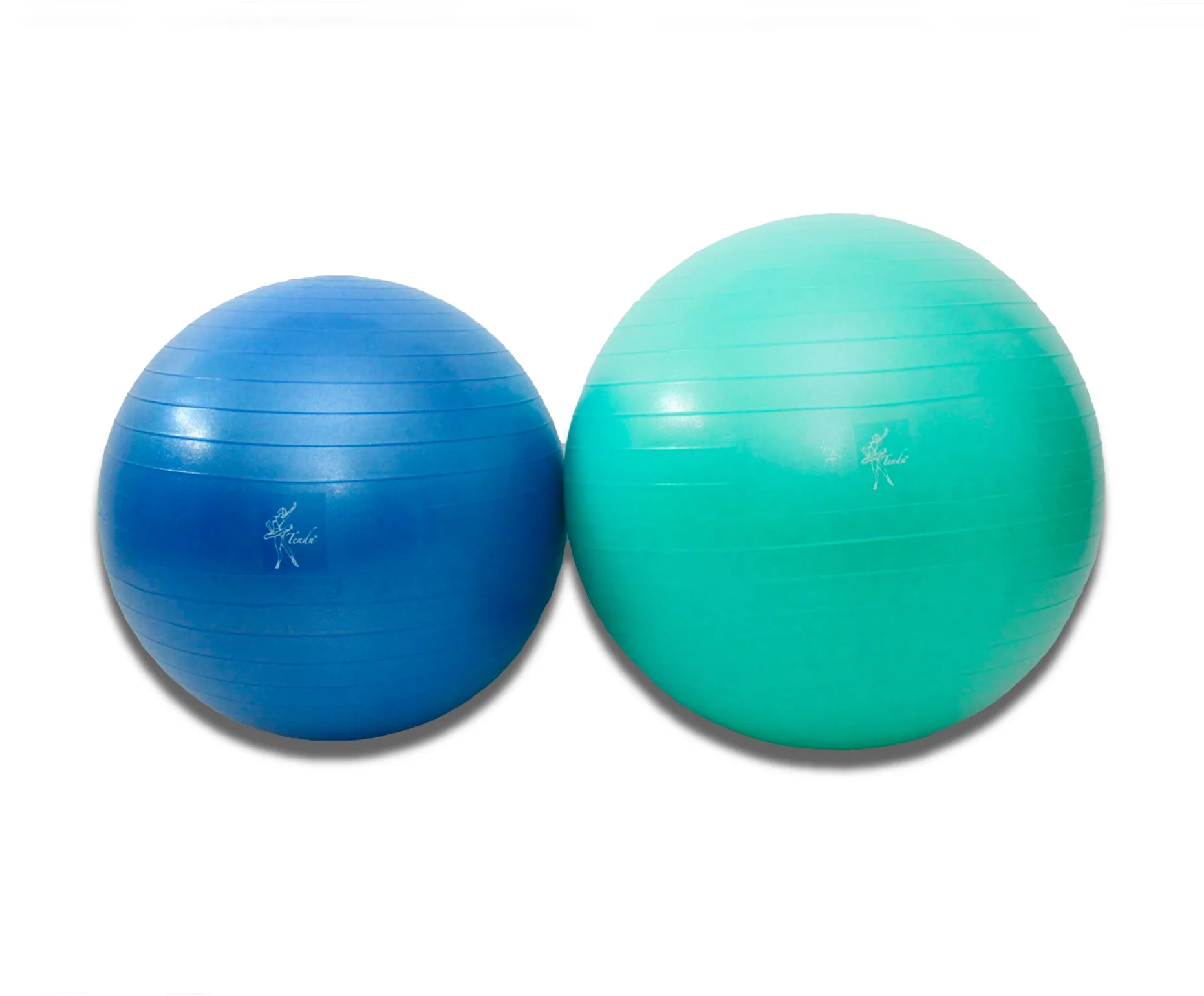 Tendu Stability Ball- T1058